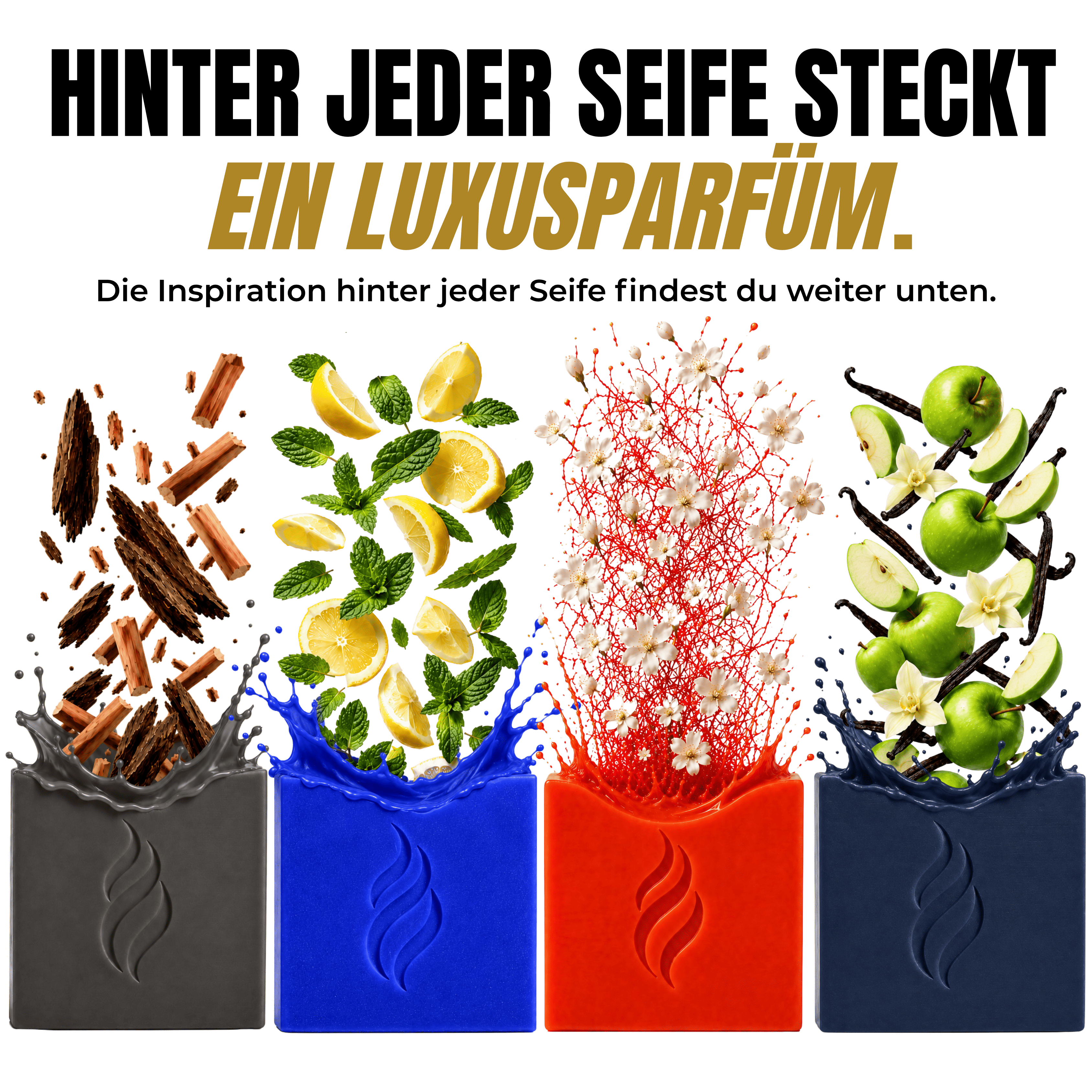 Collection Bundle (6+4 Gratis)